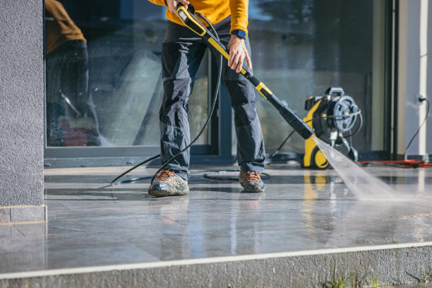 Best Fence Cleaning  in Greenville, MI